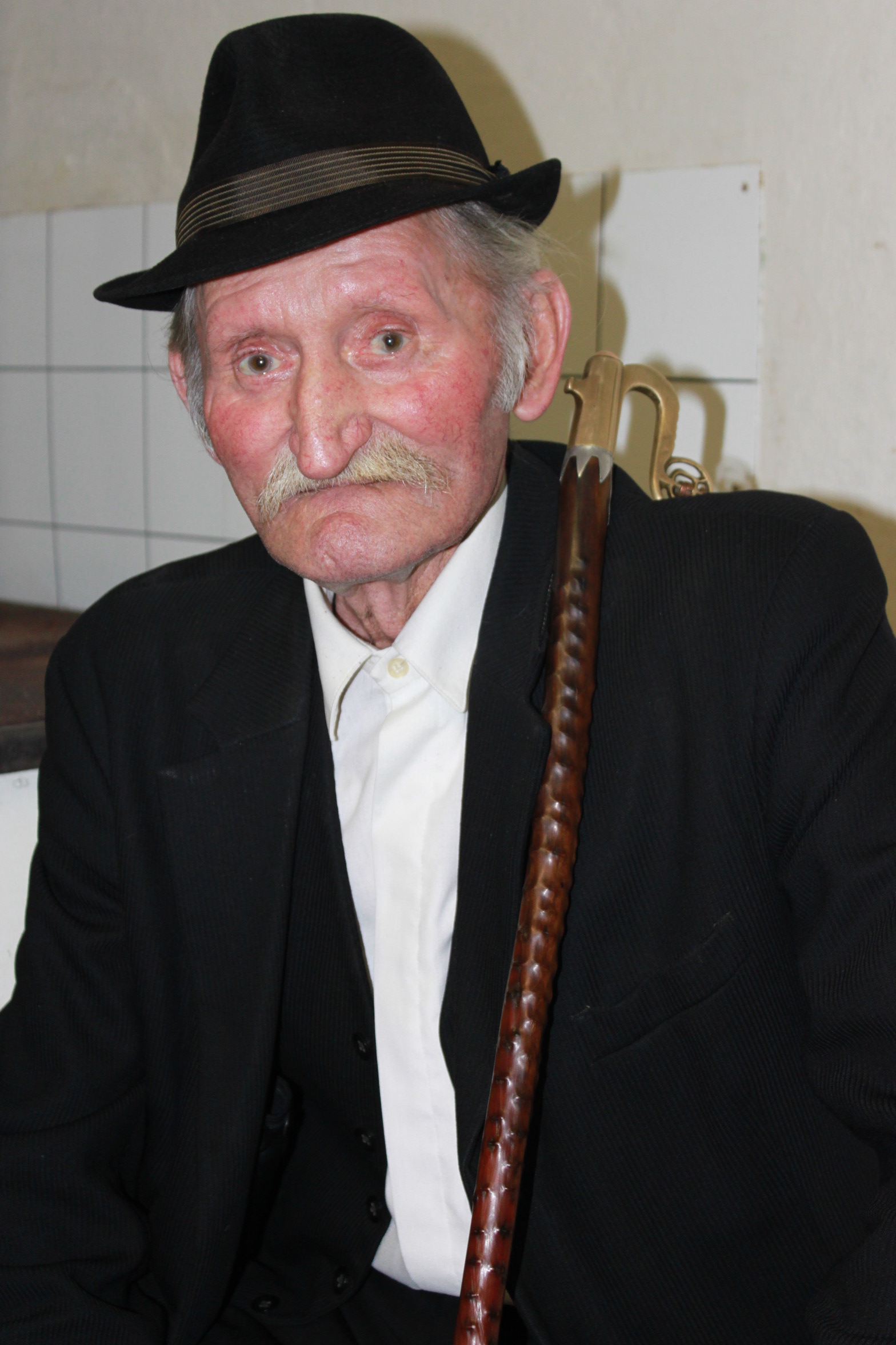 Kép Cselényi József